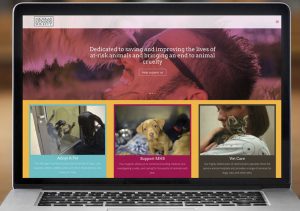 Michigan Humane WordPress Website